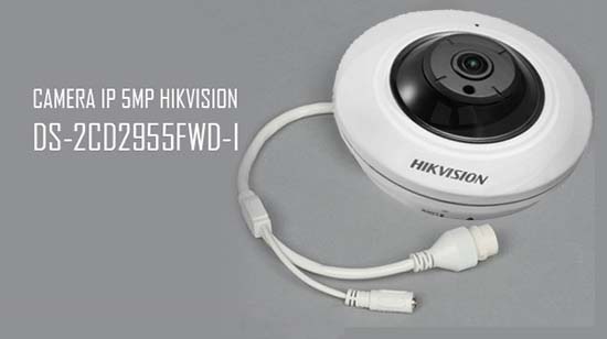 Camera IP Fisheye Hồng Ngoại 5Mp Hikvision DS-2CD2955FWD-I