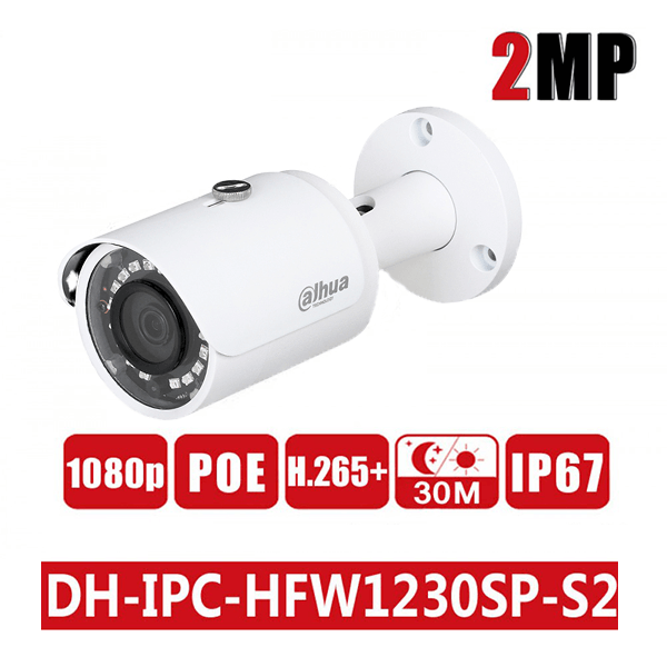 Camera IP ALPS H.265 (Hỗ trợ DSS DDNS) Dahua IPC-HFW1230SP-S2