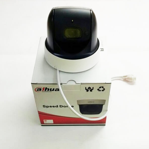 Camera IP Speed Dome 2.0 Megapixel Dahua SD29204T-GN