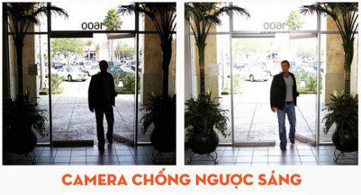 Camera KBVISION KX-Y2002C4 Chống Ngược Sáng Thông Minh