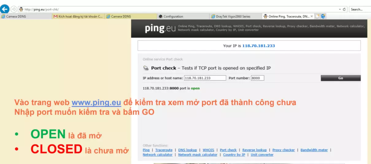 Vào trang web www.ping.eu để kiểm tra xem mở port đã thành công chưa