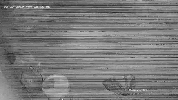 Camera Hikvision Bị Kẻ Sọc, Gợn Hình