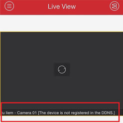Không Xem Được Camera Hikvision Qua Tên Miền Khắc Phục Làm Sao?