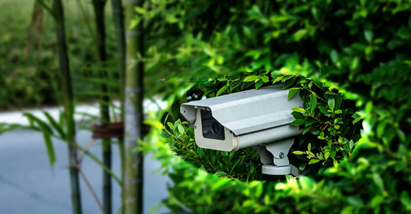 Không lắp camera gần vị trí có vật cản
